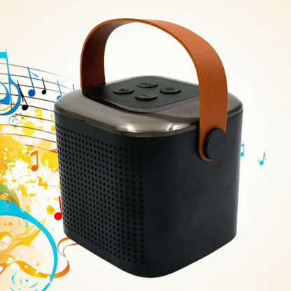 Wireless Speaker Microphone Set Support Memory Card Portable karaoke Machine