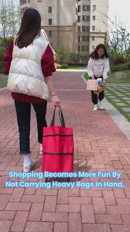 Foldable Light Weight Polyester Shopping Trolley Bag (Multicolor)